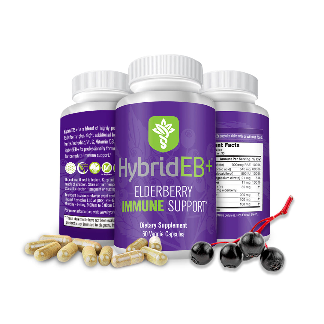ECOST Rich Herb 4個セット×3 HybridEB+ Elderberry Vitamin C and Zinc Immune Support